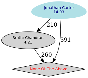 Graphical rendering of the results